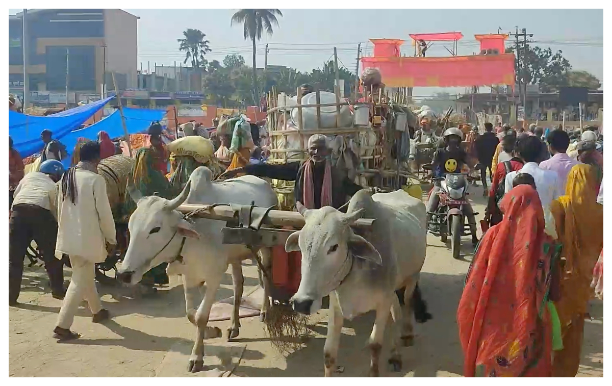 ‘मिथिला माध्यमिकी परिक्रमा’मा सहभागी श्रद्धालुहरू जनकपुरधाम आइपुगे