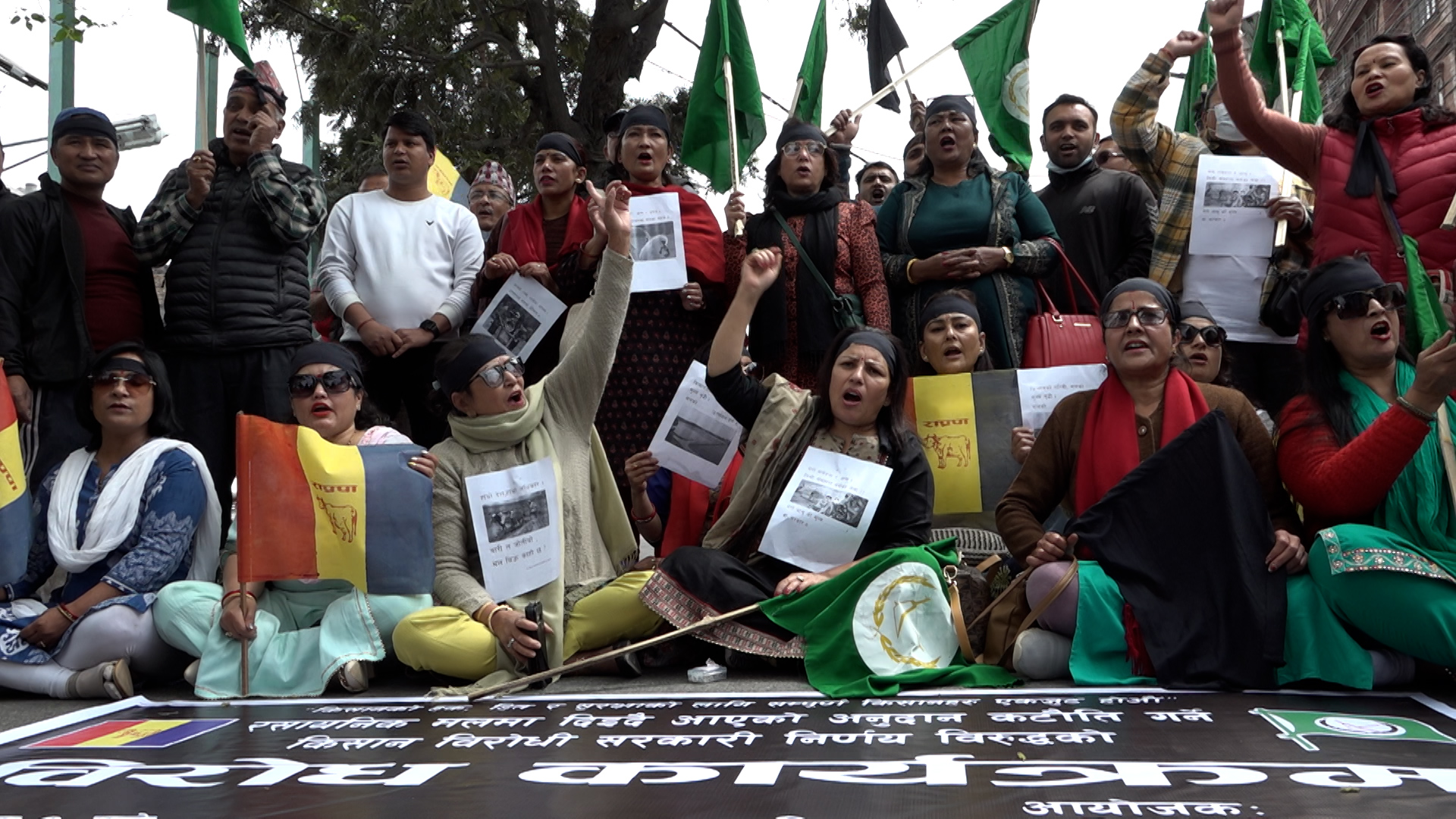 किसानलाई मलमा दिएको अनुदान कटौती विरुद्धमा राप्रपा सडकमा  (फाेटाेफिचर)