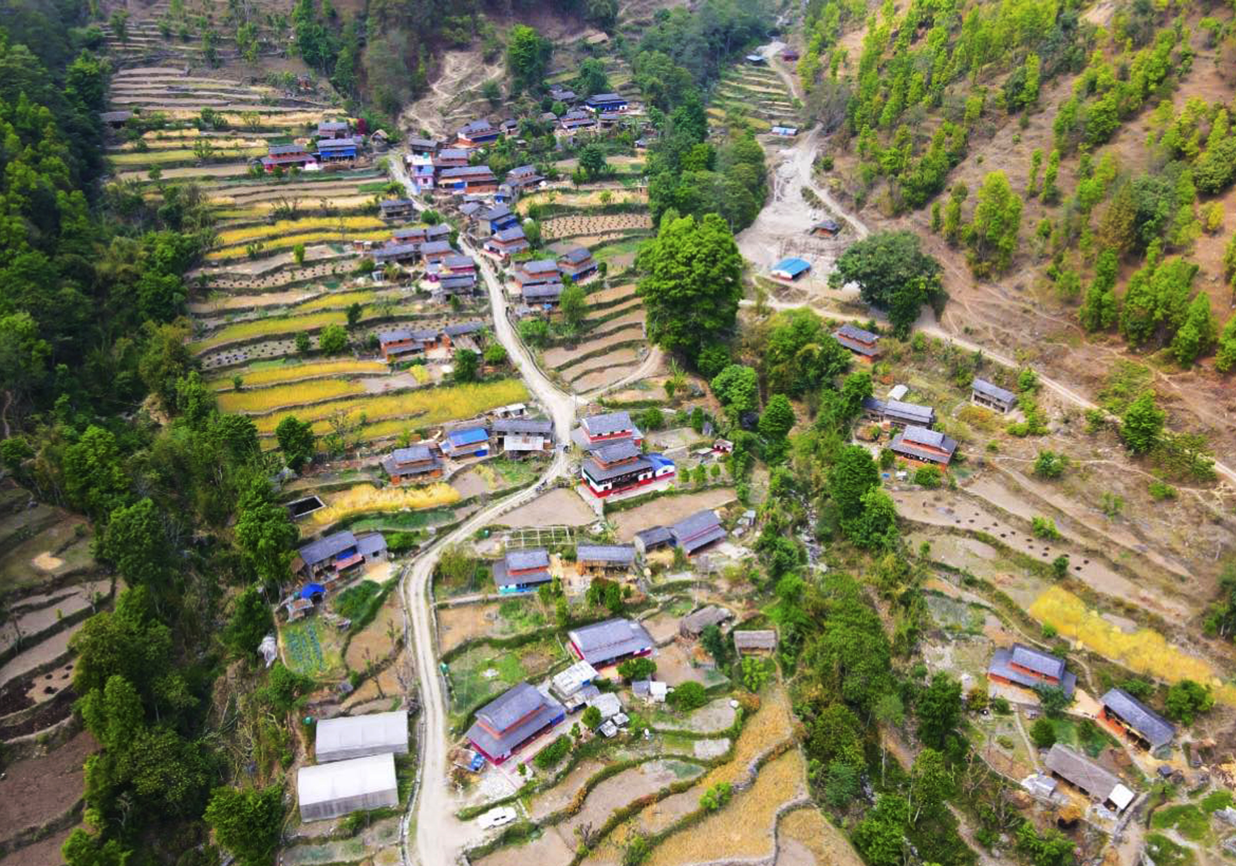 आर्थिकमन्दीको प्रभाव : घटे घरबासमा पाहुना