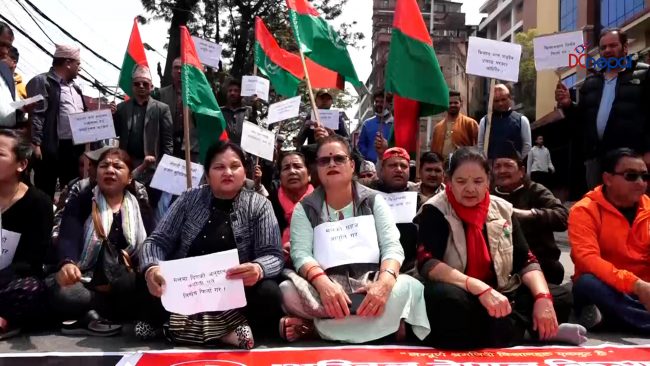 मलमा दिँदै आएको अनुदान कटौती गरेको भन्दै किसान आन्दोलित {भिडियो}