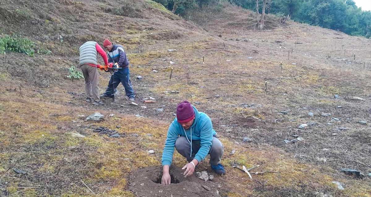 बाँझो जमिनमा फलफूल खेती