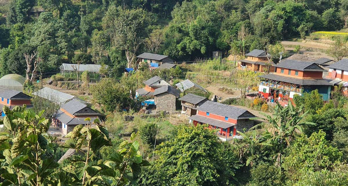 विदेशी पर्यटकको रोजाइ बन्दै घरबास