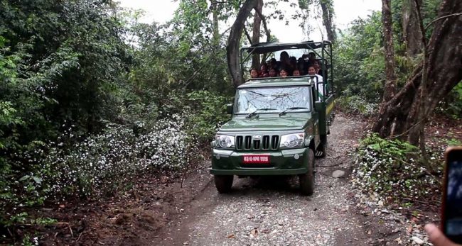 वन्यजन्तु अवलोकनको नयाँ गन्तव्य बन्दै पिप्रहर