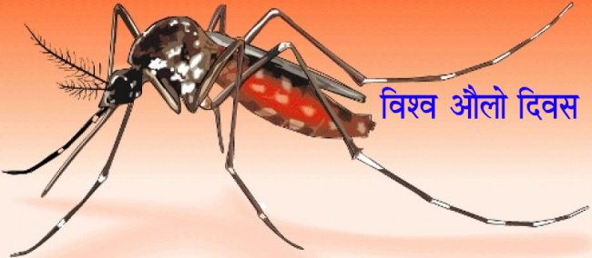 आज विश्व औ‌‌लो दिवस: विभिन्न कार्यक्रम गरि मनाइँदै