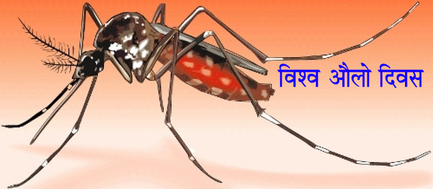 आज विश्व औ‌‌लो दिवस: विभिन्न कार्यक्रम गरि मनाइँदै