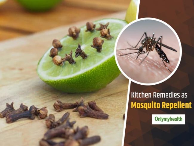 लामखट्टेले दुःख दियो ? लामखुट्टे भगाउन यो घरेलु उपाय अपनाउनुहोस्