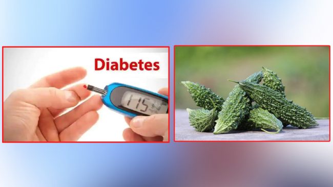 डायबिटीजका लागि फाइदाजनक करेला, खाँदा यी कुरामा ध्यान दिनुहोस्