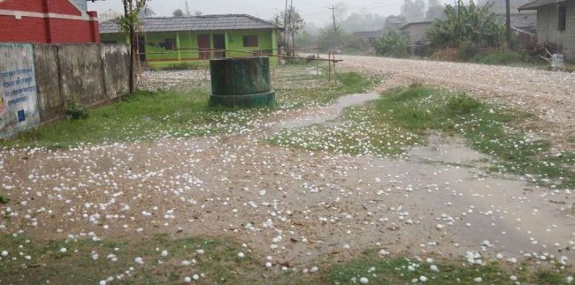 झापामा हावाहुरीसहितको असिनाले क्षति