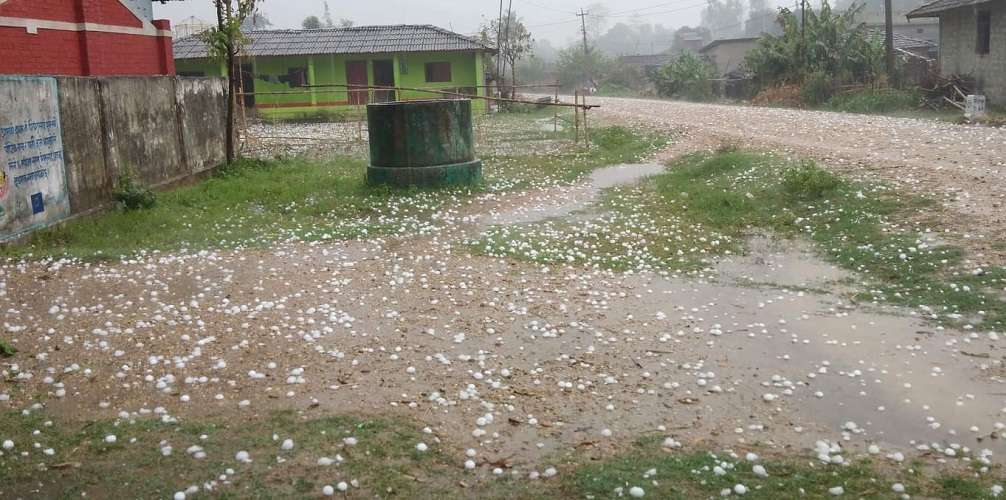 झापामा हावाहुरीसहितको असिनाले क्षति