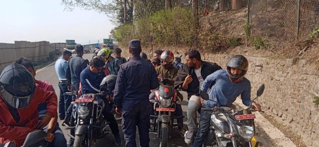 सडकमै ट्राफिक सुरक्षा सचेतता, छ सय ८६ चालक सहभागी