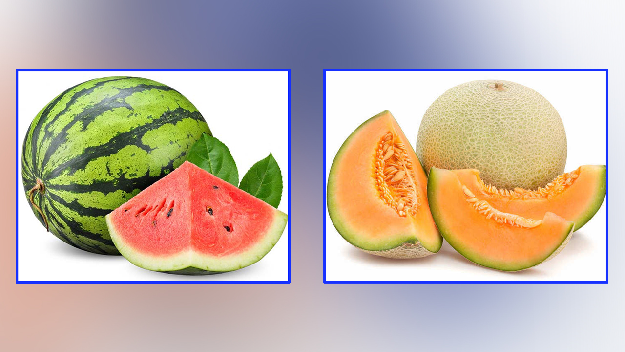 गर्मीको चर्को घामबाट बच्न कुन बढी फाइदाजनक, तरबूज कि खरबूजा ?