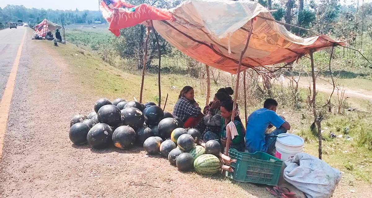 तरभुजा बिक्रीबाट जीविकोपार्जन