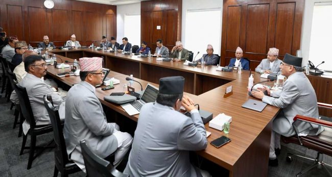 मन्त्रिपरिषद्‌बाट नीति तथा कार्यक्रम पारित