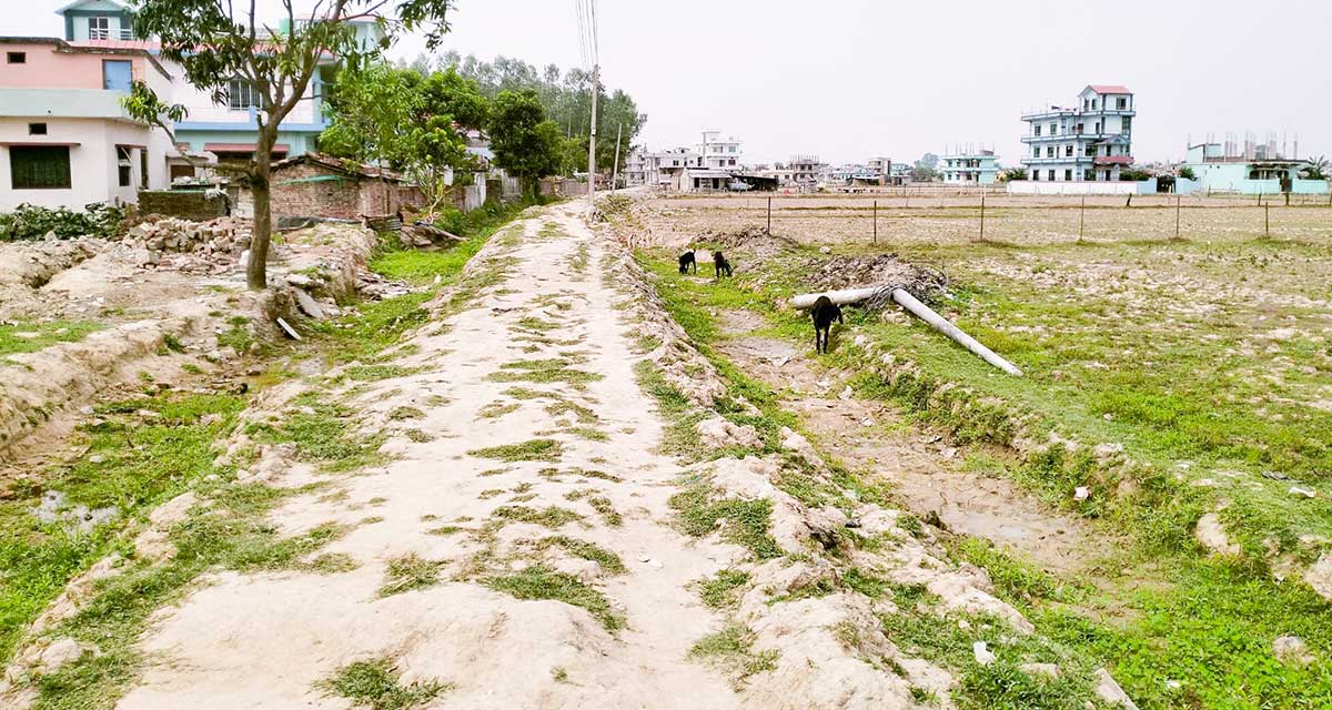 आफ्नै अभियानविपरीत धनगढी उपमहानगरले बनायो नाला मिचेर सडक