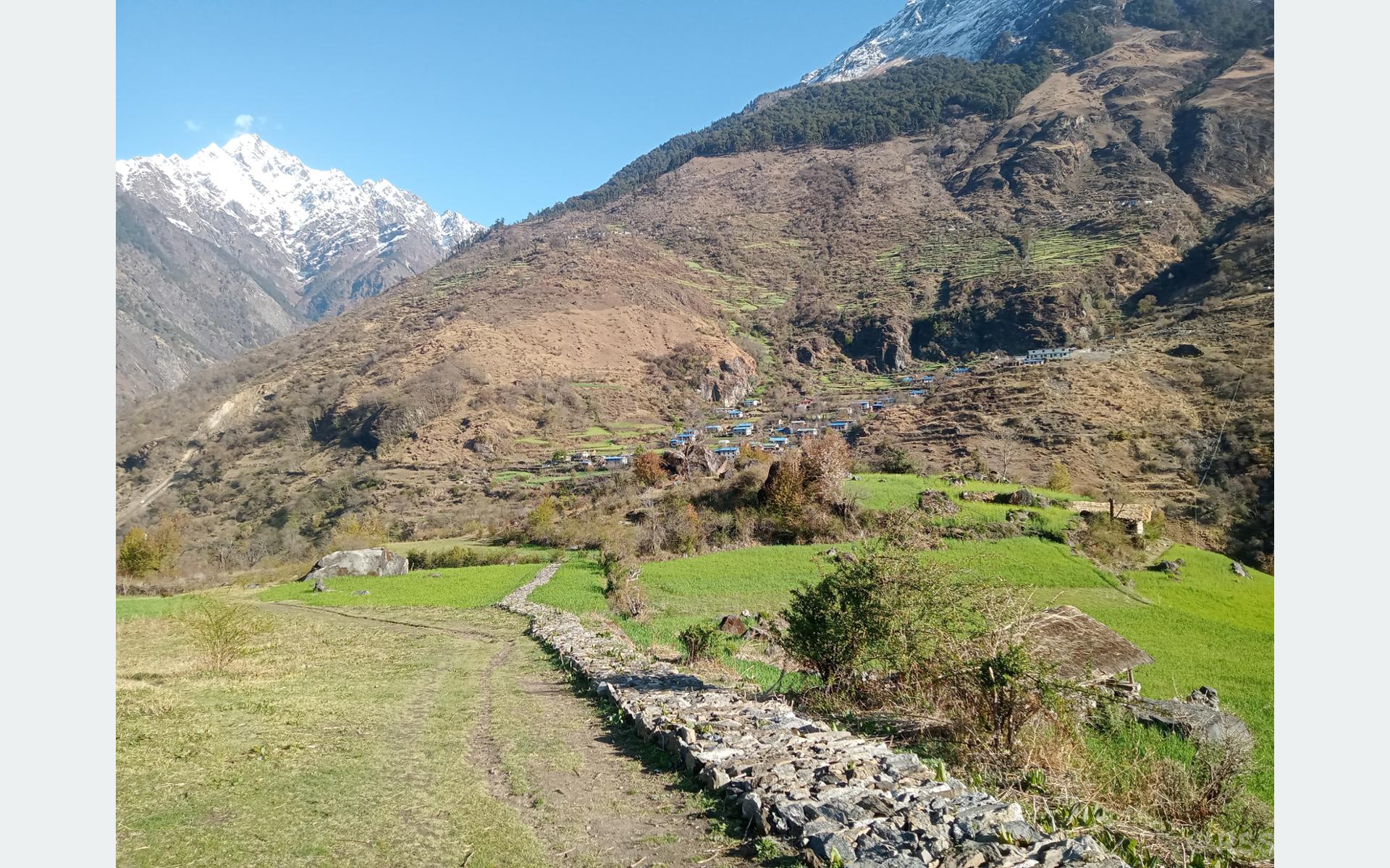 साइपालमा खाद्य संकट, सिंहदरबार नधाएर पुग्दैन चामल