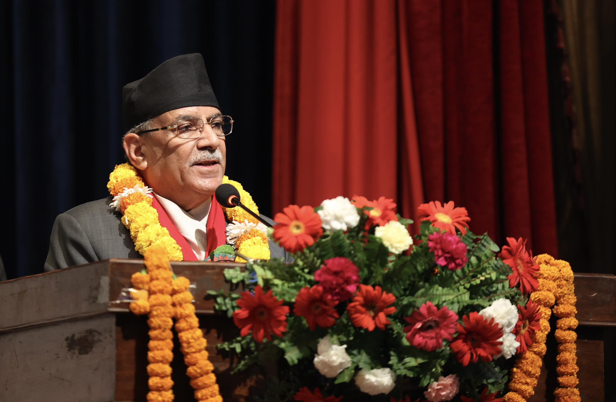 वन ऐन र नियमावलीमा देखिएका समस्या समाधान गर्न सरकार तयार : प्रधानमन्त्री