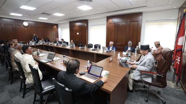 अनिता ढुंगानालाई योजना आयोगको सदस्यमा नियुक्त गर्ने सरकारको निर्णय