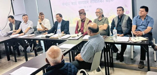 राप्रपा नेपाल कार्यसम्पादन समितिमा प्रदेश संरचना खारेज गर्ने प्रस्ताव