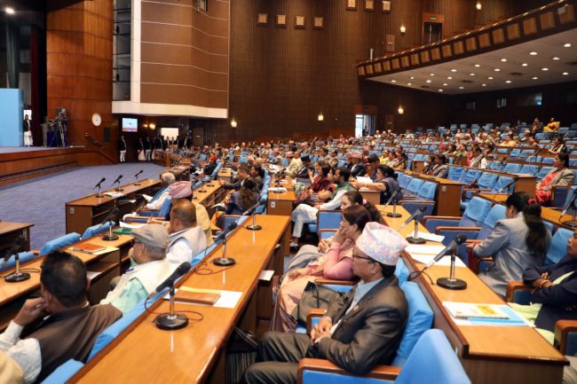 आधारभूत आवश्यकता पूर्ति गर्ने बजेट ल्याउन सुझाव