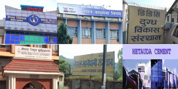 सार्वजनिक संस्थानः २५ नाफामा, १७ घाटामा र दुईवटाको कारोबार शून्य