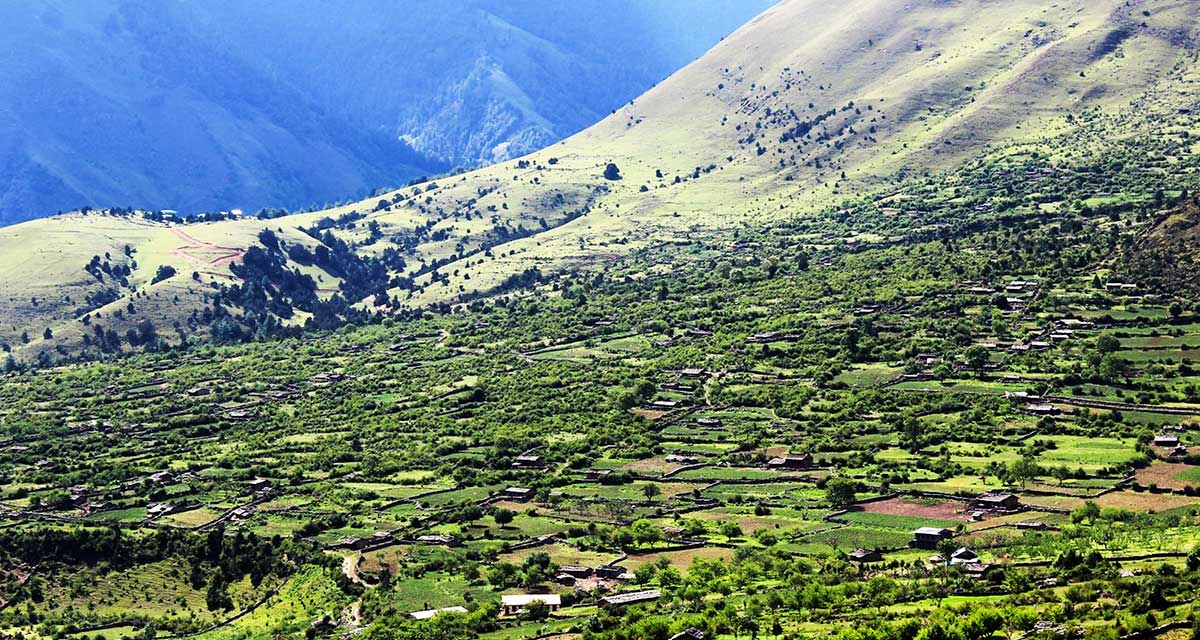 अब निसेलढोरमै स्वास्थ्य सेवा, स्थानीय हर्षित