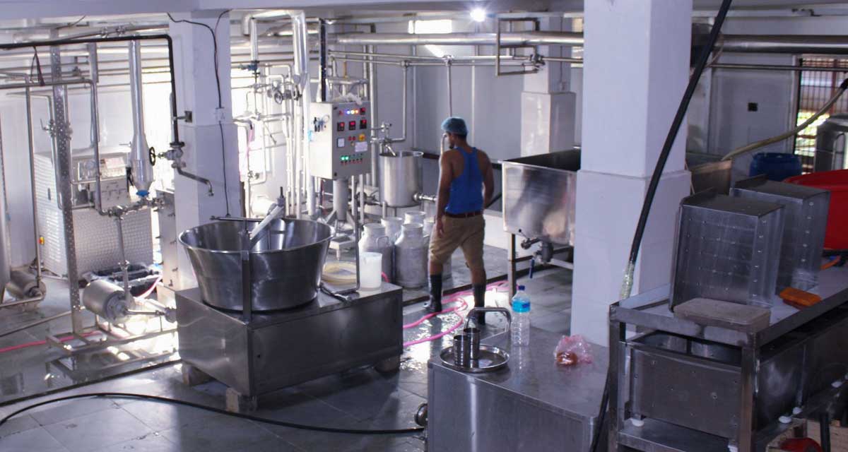 दुग्ध उद्योग स्थापनापछि बजार व्यवस्थापनमा सहज