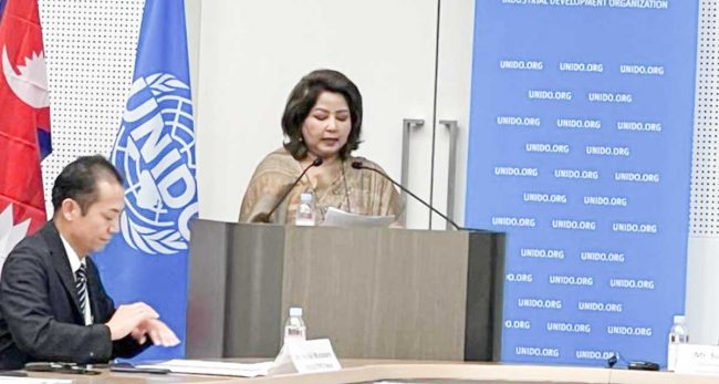 नेपालको विकासका लागि वैदेशिक लगानी अपरिहार्य : डा राणा