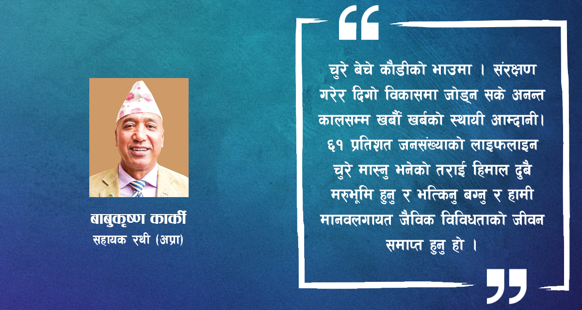 चुरेको चुरो