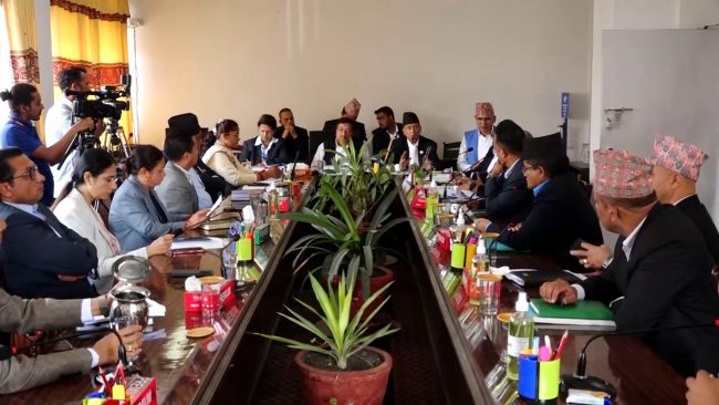 ब्रोकर लाइसेन्स प्रक्रिया अघि बढाउन निर्देशन