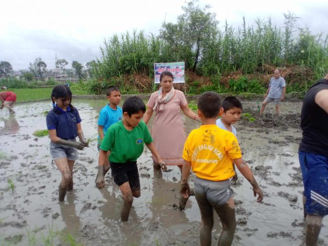रोपाइँमा रमाए विद्यार्थी