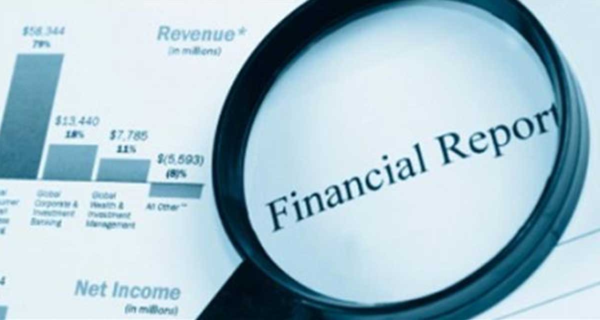 दोल्ती पावर कम्पनीको कस्तो छ वित्तीय अवस्था ?