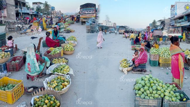 सिराहाका बजारमा आँपको व्यापार {तस्बिर}