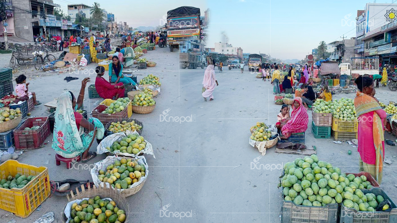 सिराहाका बजारमा आँपको व्यापार {तस्बिर}