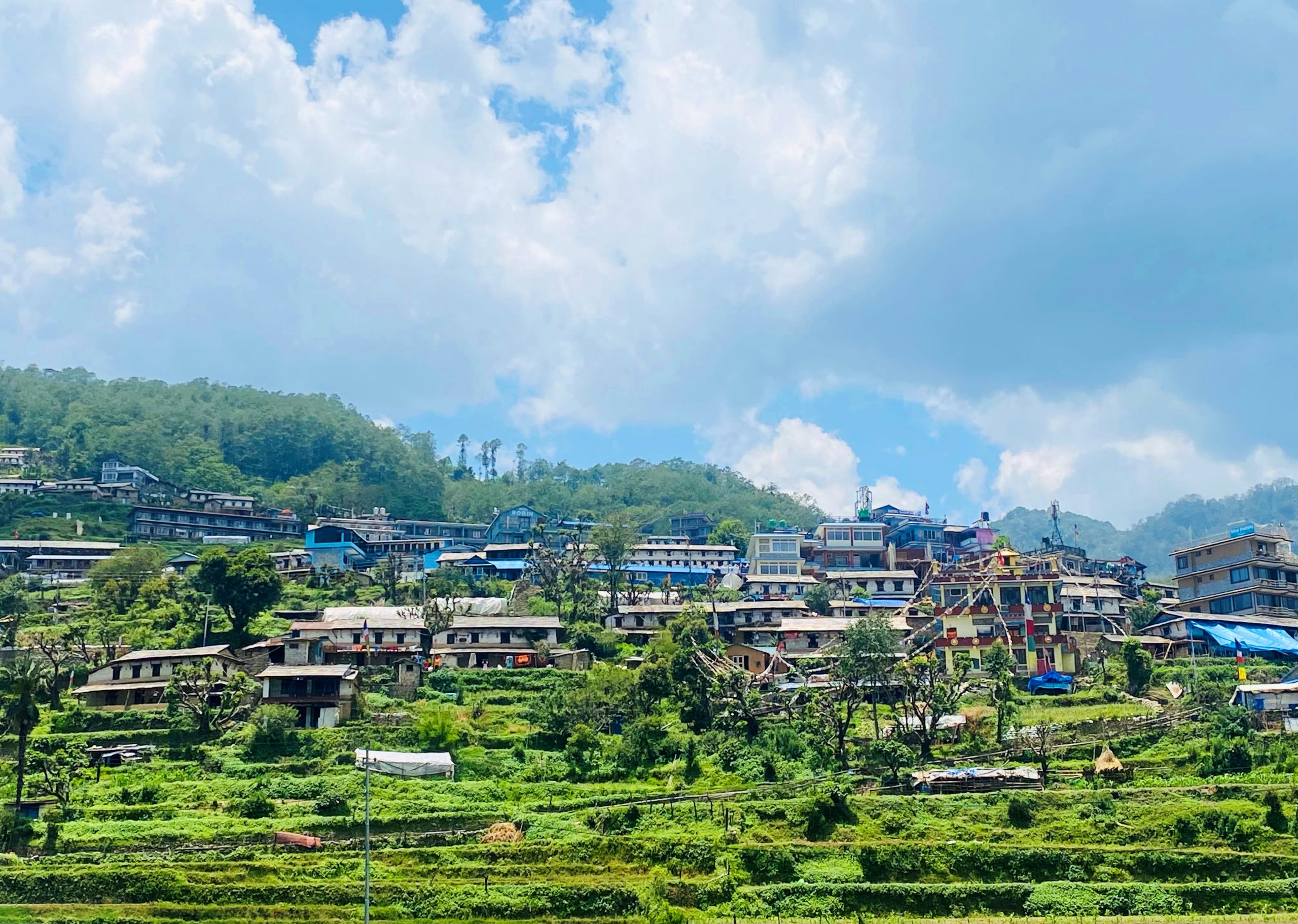 घान्द्रुकका होमस्टे सञ्चालक भन्छन्- पर्यटकको आगमन राम्रो छ, कोठा खाली राख्नुपर्ने अवस्था छैन