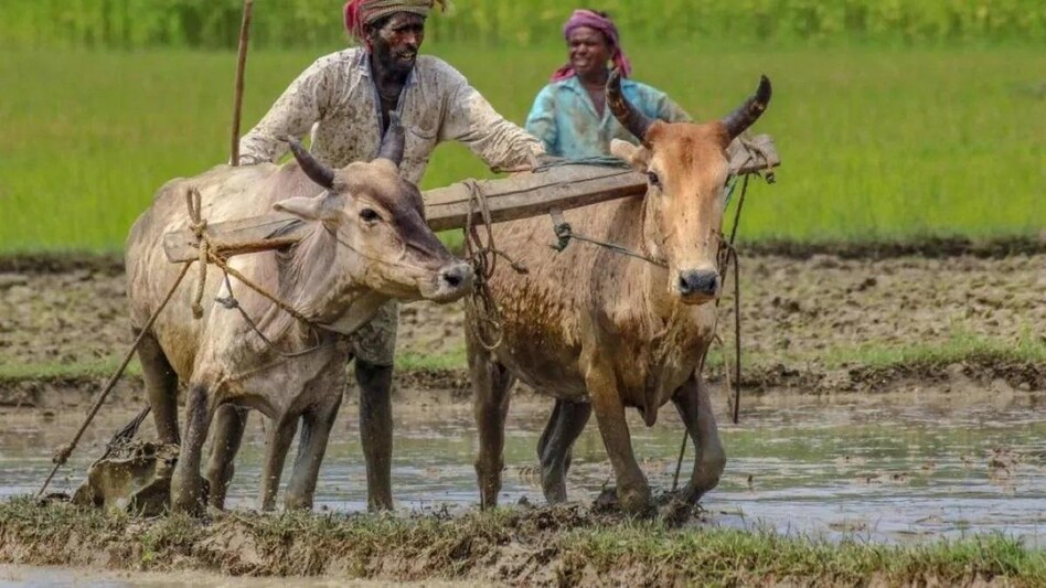 अनुदानको प्रतीक्षामा बाँकेका किसान