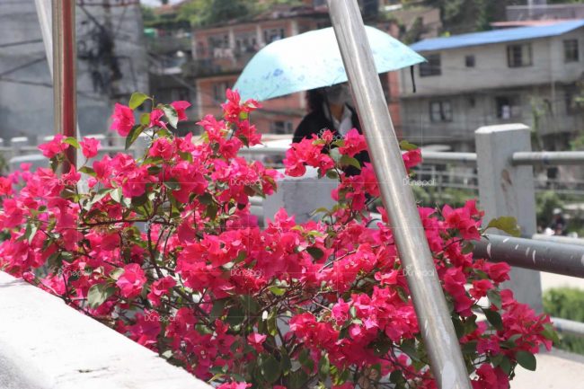 नझुक्किनुस्, यी काठमाडौं कै सडक हुन् (तस्वीरसहित)