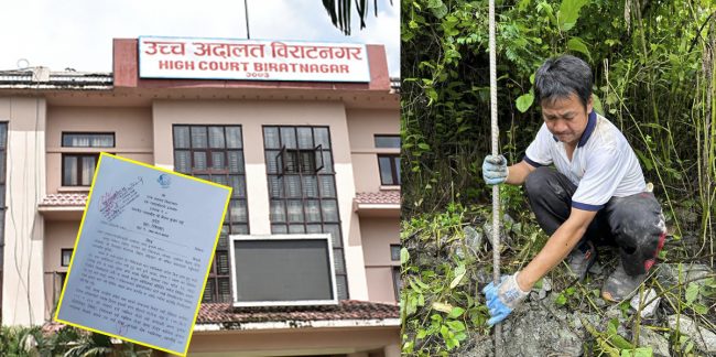 हर्क साम्पाङलाई व्यक्तिको जग्गामा वृक्षरोपण नगर्न अदालतको आदेश