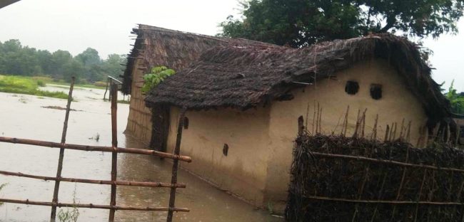 दाङमा अविरल वर्षाले १६ घर डुबानमा, एक घर भत्कियो