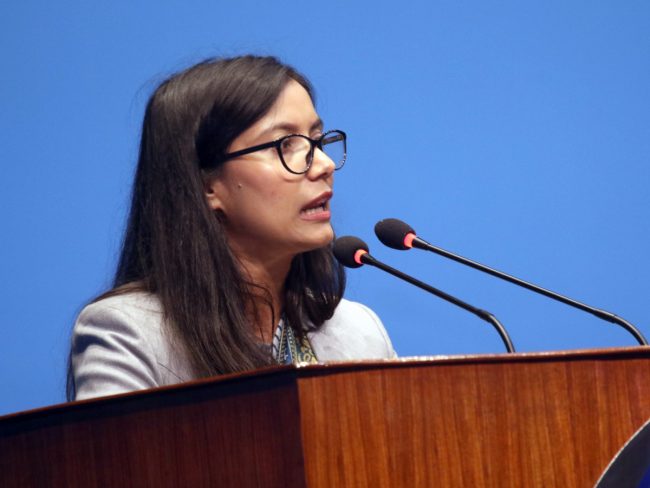 ‘केही व्यापारिक घरानालाई सहयोग पुग्ने गरी करको व्यवस्था किन?’