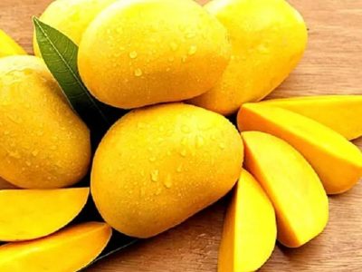 मधुमेहका बिरामीका लागि आँप ‘विष’ होइन, जान्नुहोस् खाने सही तरिका र विज्ञको सल्लाह