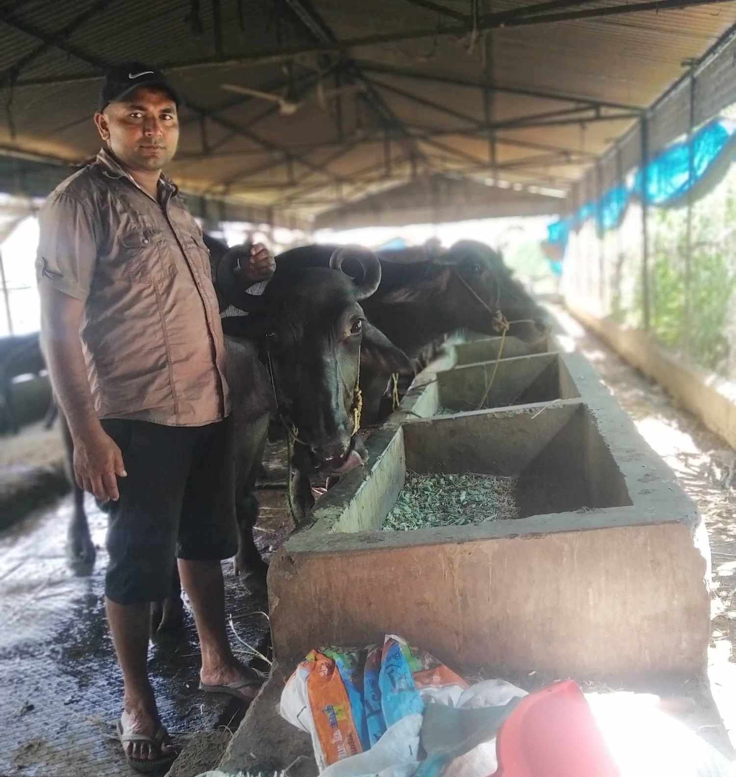 राजकुमारको कृषि कथाः काम गर, सफलता मानिसको पछि-पछि आउँछ