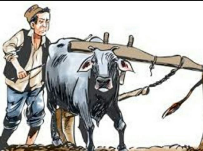 मुक्तकमैया पुनःस्थापनाको पर्खाइमा