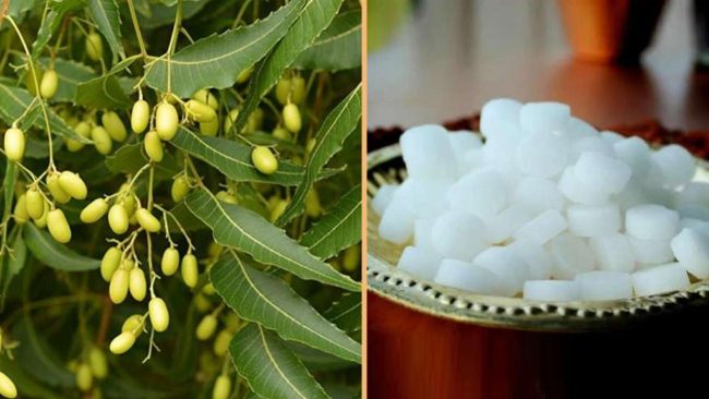 वर्षायाममा छालाको समस्याका लागि लगाउनुहोस् नीम र कपूर