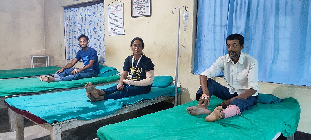 अन्धविश्वास र लापरबाहीः सर्पदंशबाट मृत्युको कारण