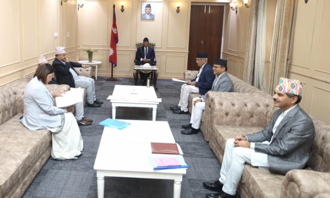 संवैधानिक परिषद्को बैठक जारी