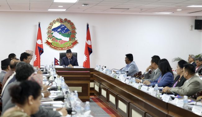 प्रधानमन्त्री र मन्त्रीहरूबीच कार्यसम्पादन सम्झौता, कार्यादेश अनुसार काम गर्न निर्देशन