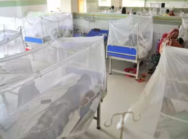 बंगलादेशमा डेंगुका कारण झन्डै तीन सयको मृत्यु, बिरामीले अस्पताल भरिए