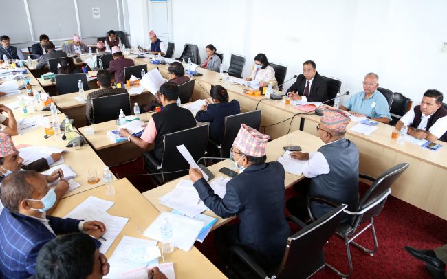 संसदीय समिति गठनमा दलहरू सहमति नजिक