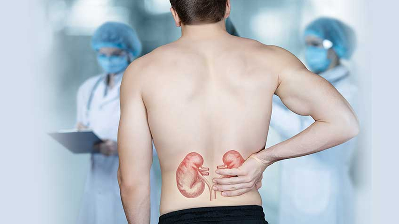 मृगौलामा केही गडबडी भए देखाउँछ यी ७ लक्षण