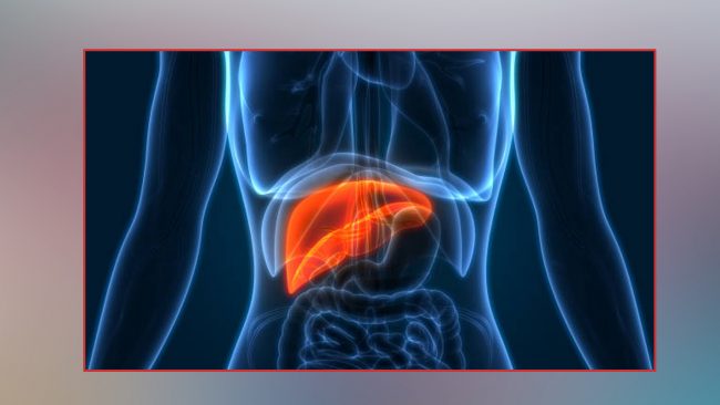 यो बानीले महिलामा कलेजोको क्यान्सरको जोखिम बढ्दो